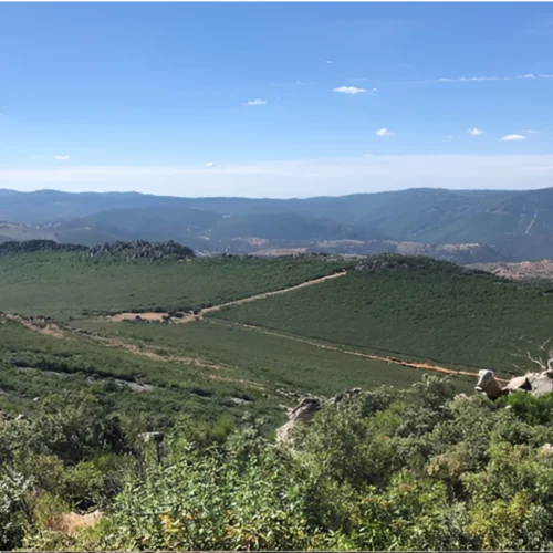 desde-la-cuerda-cr-3-1