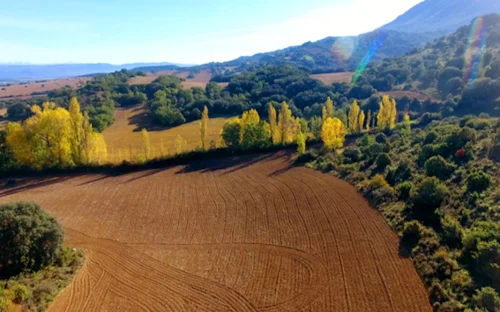 panoramica-labores-z-1